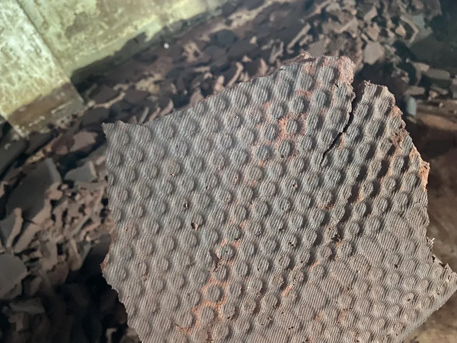 隔膜压滤机处理鸭血滤饼效果