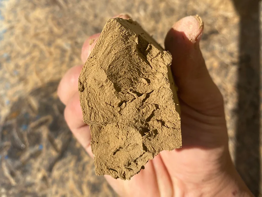 尾矿污泥压滤机处理尾矿矿浆泥饼成型效果