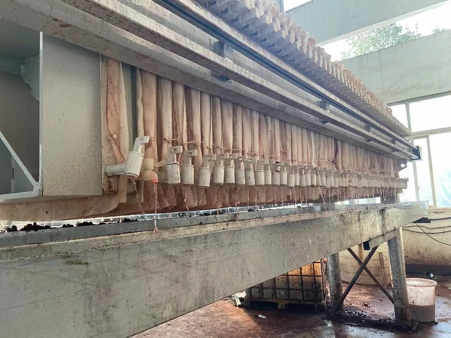 隔膜压滤机处理鸭血滤液效果