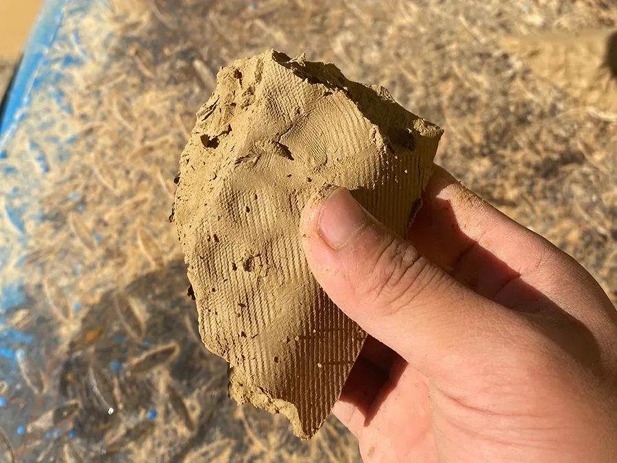 压滤机泥饼效果